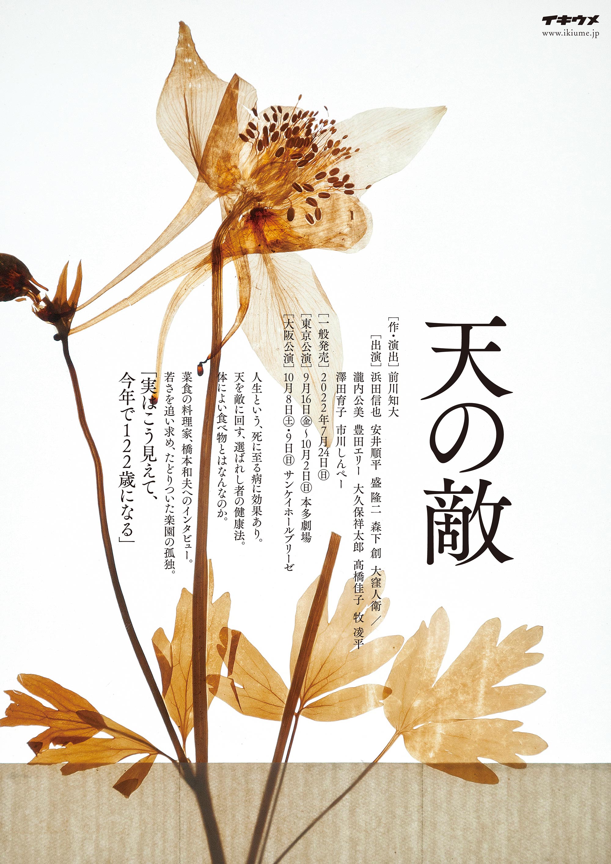 本多劇場グループ公式hp