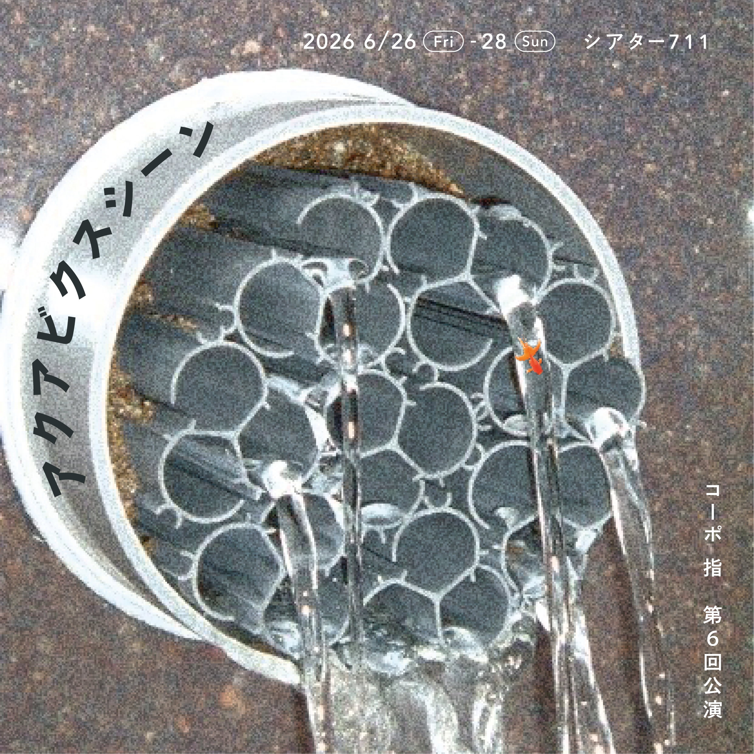 フライヤー表